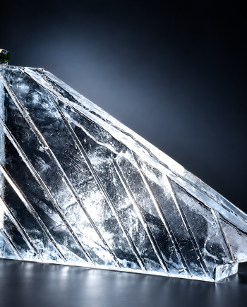 Sculpted Ice Luge